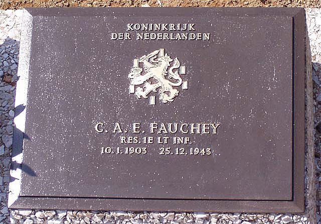 fauchey.c.a.e.2006.jpg