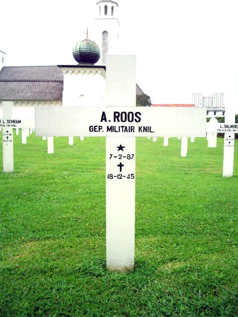 roos.a.2005(1).jpg