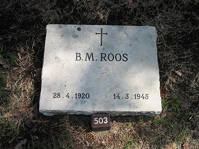 B.M.Roos.jpg