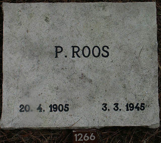 Roos.P.2005.jpg