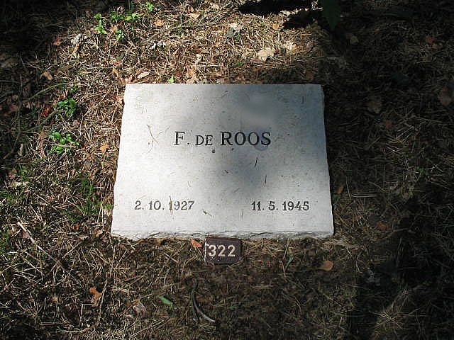 F.de Roos.jpg