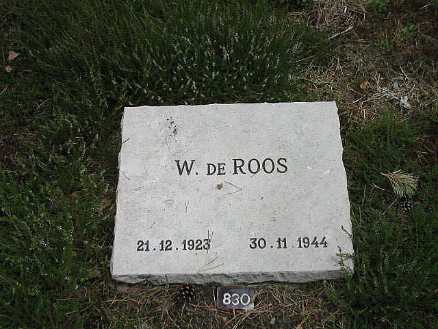 W.de Roos.jpg