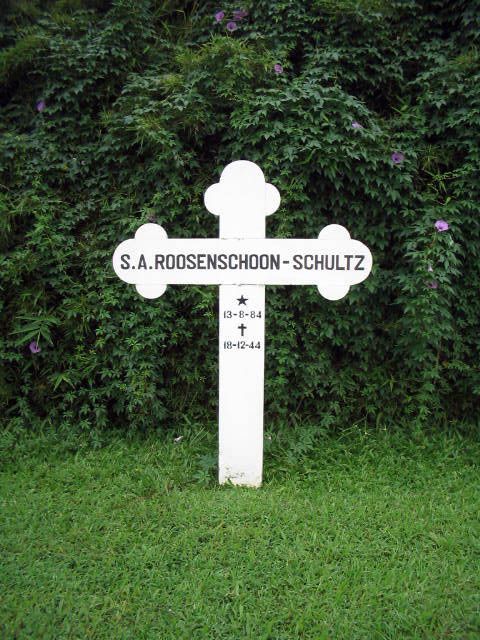 roosenschoon.schultz.s.a.2005.jpg