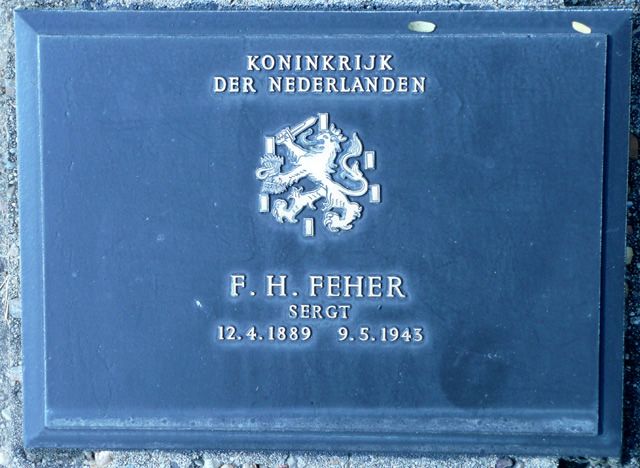 Feher.F.H.2008.jpg