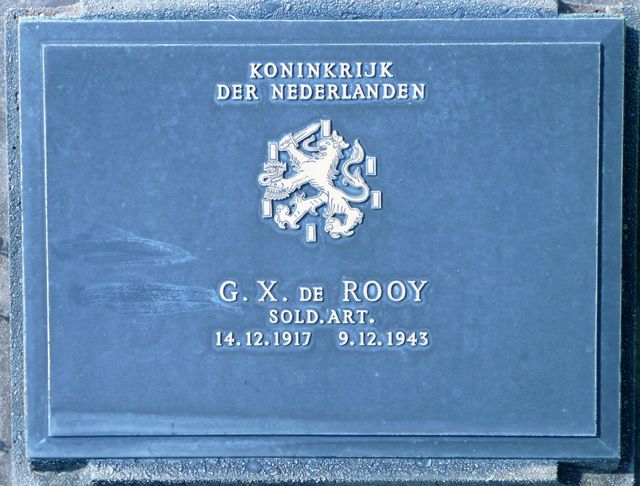 Rooy.G.X.de.2008.jpg