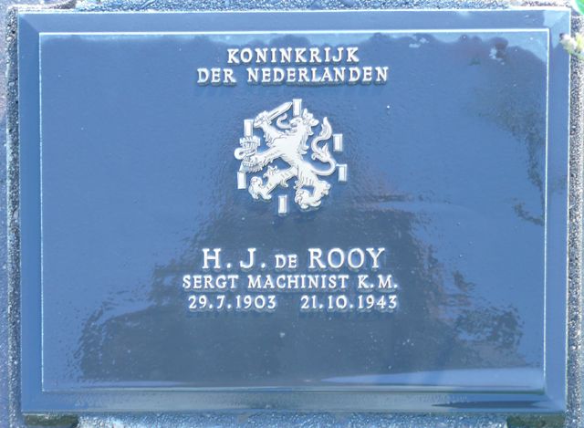 Rooy.H.J.de.2008.jpg