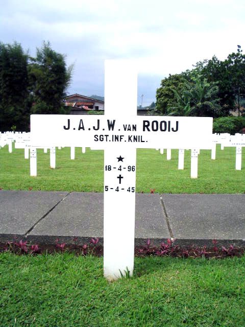 rooij.van.j.a.j.w.2005.jpg