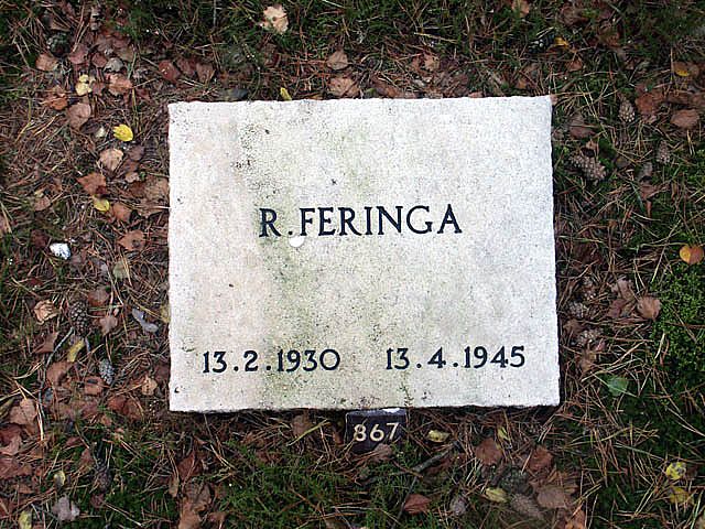feringa.r.2005.jpg