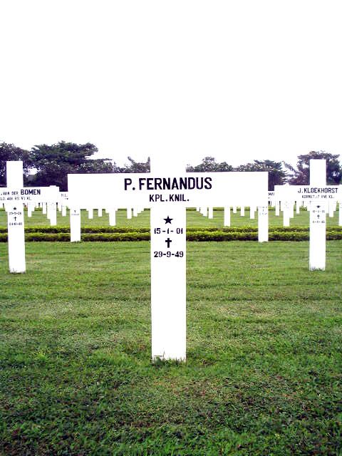 fernandus.p.2005.jpg