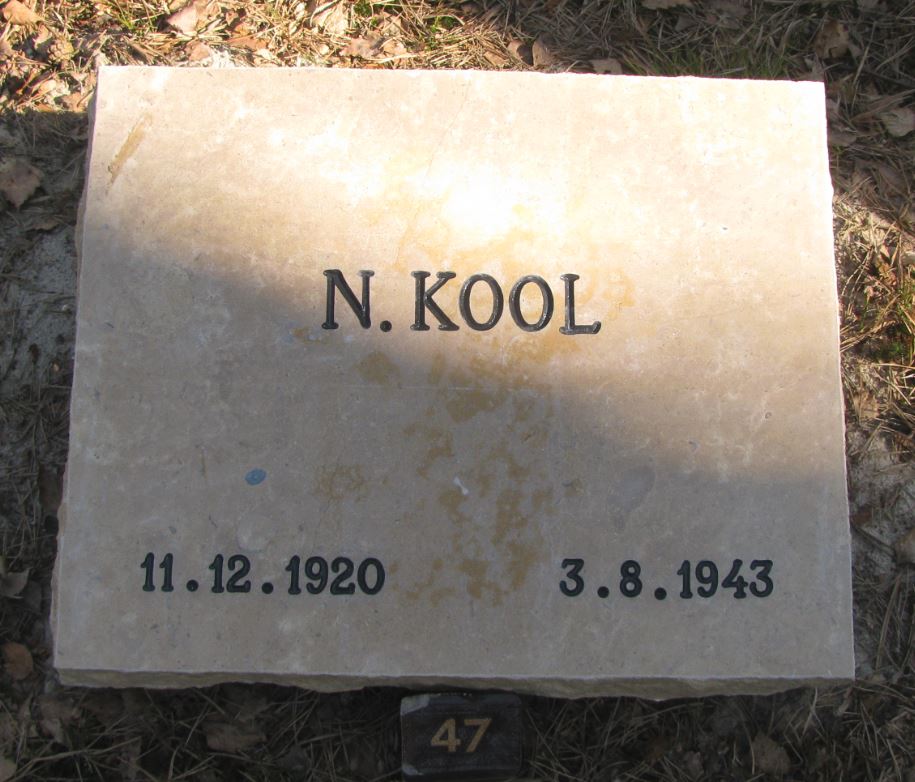 NKool.JPG