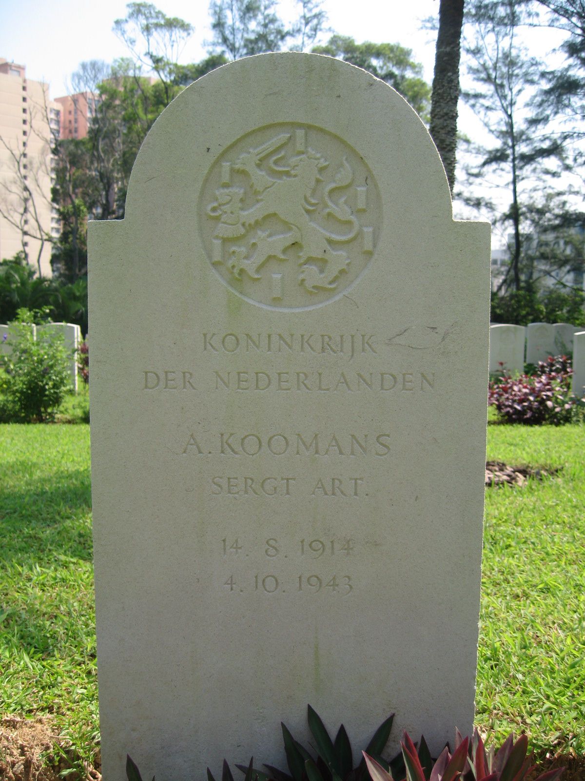 koomans.a.2008.jpg