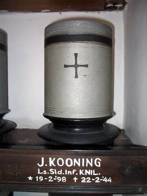 kooning.j.2005.jpg