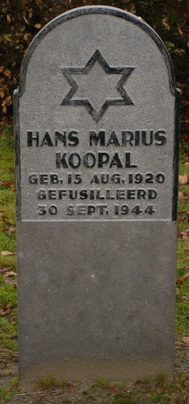 koopal.h.m.2009.jpg