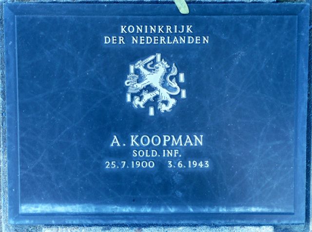 Koopman.A.2008.jpg