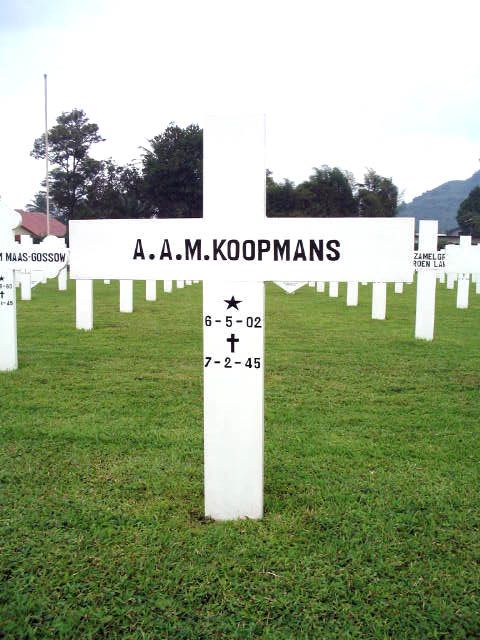koopmans.a.a.m.2005.jpg