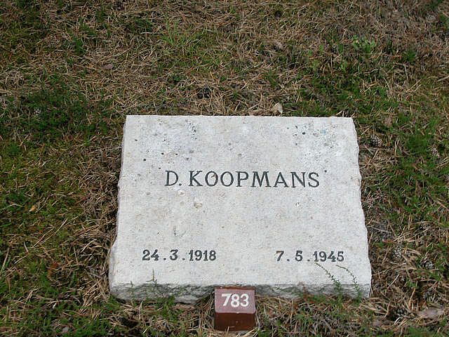 D.Koopmans.jpg