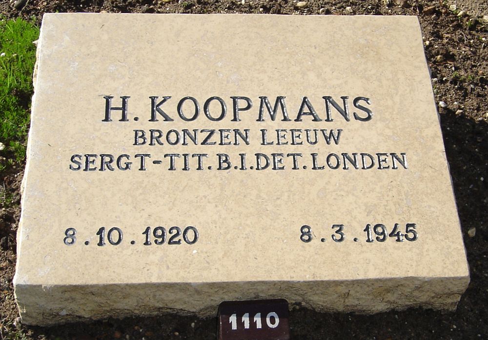 koopmans.h.2010.jpg