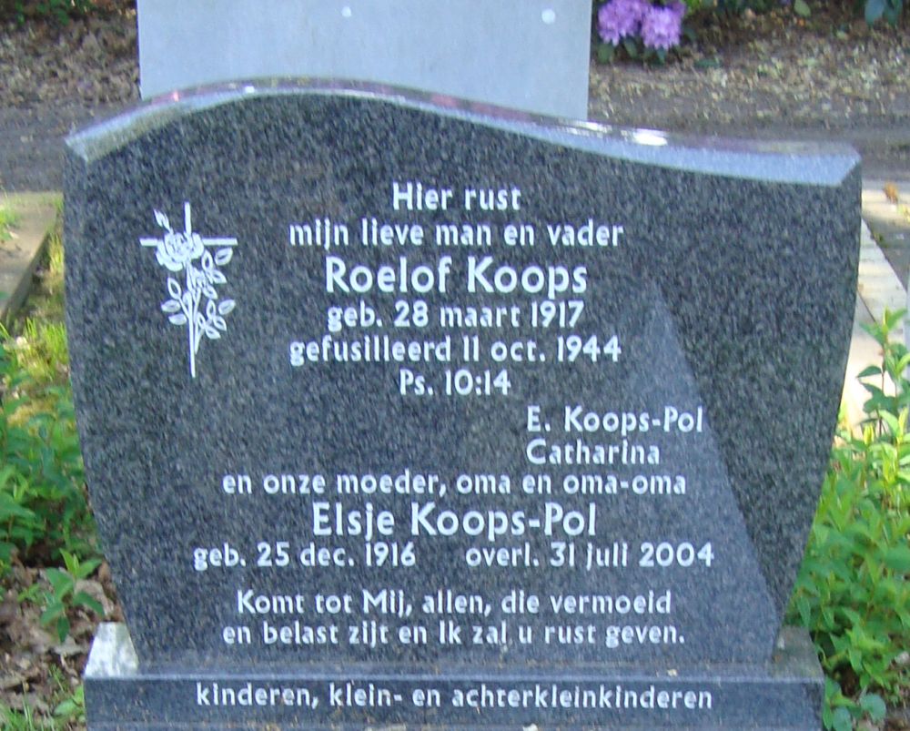 koops.r.2009.jpg