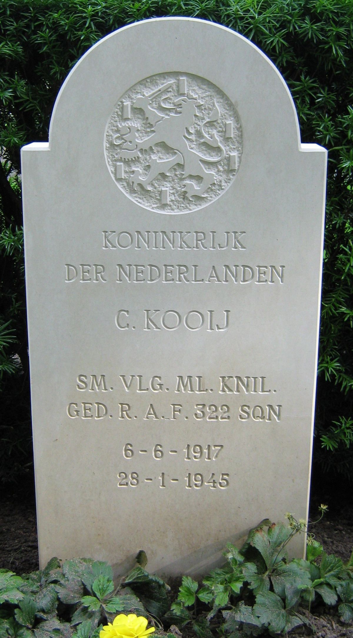 kooij.c.2008.jpg