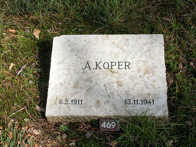 A.Koper.jpg