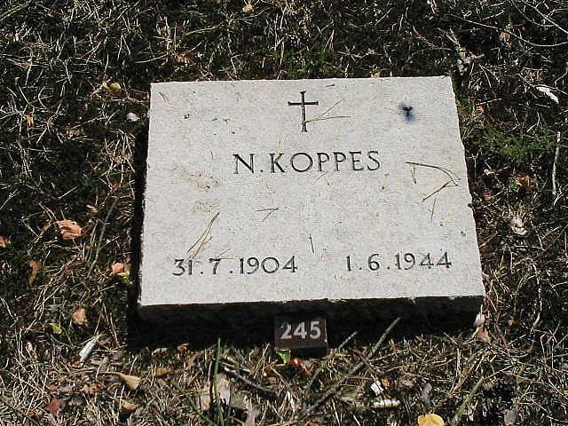 N.Koppes.jpg
