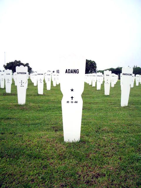 adang.2005.jpg