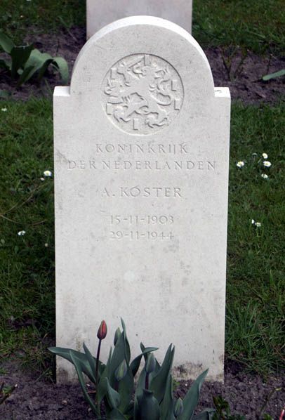 Koster A.jpg