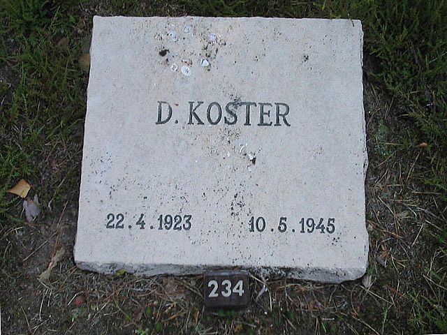 D.Koster(1).jpg