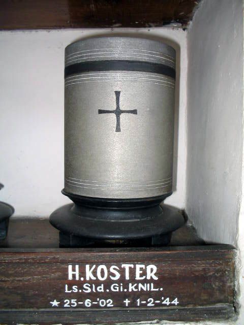 koster.h.2005.jpg
