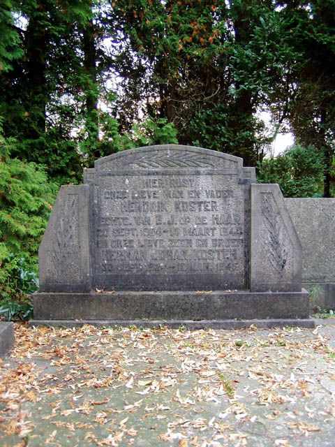 Koster H.J.2004(1).jpg