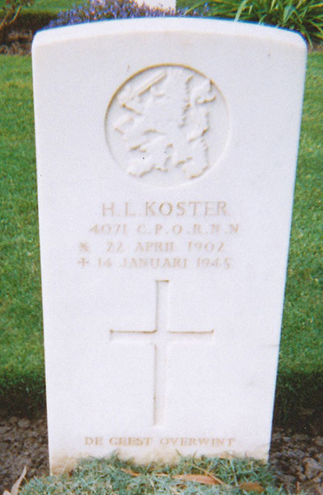 koster.h.l.2008.jpg