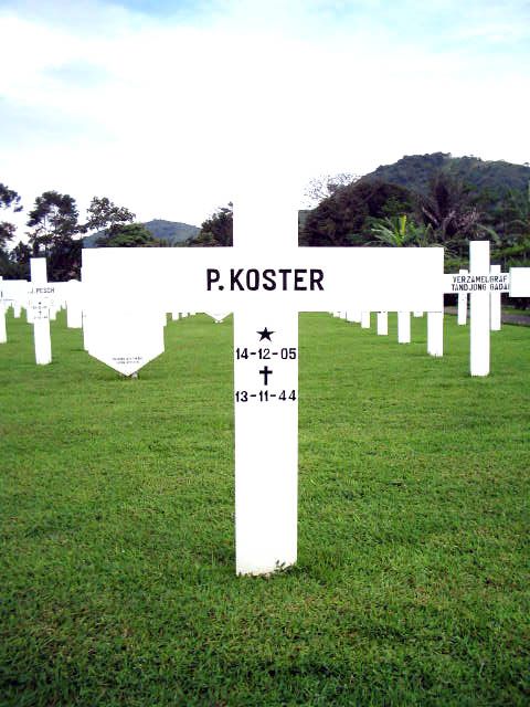 koster.p.2005.jpg
