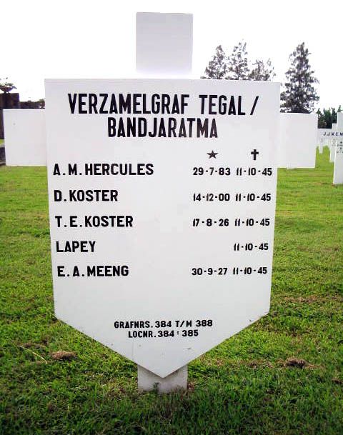 koster d.2004.jpg