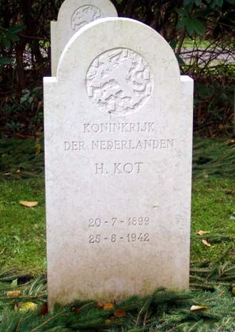 Kot H.jpg