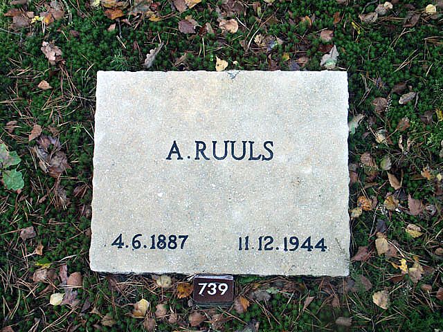 ruuls.a.2005.jpg