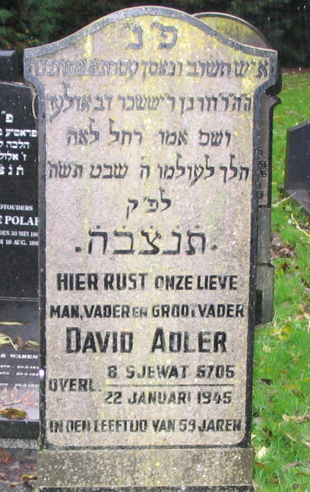 adler.d..jpg