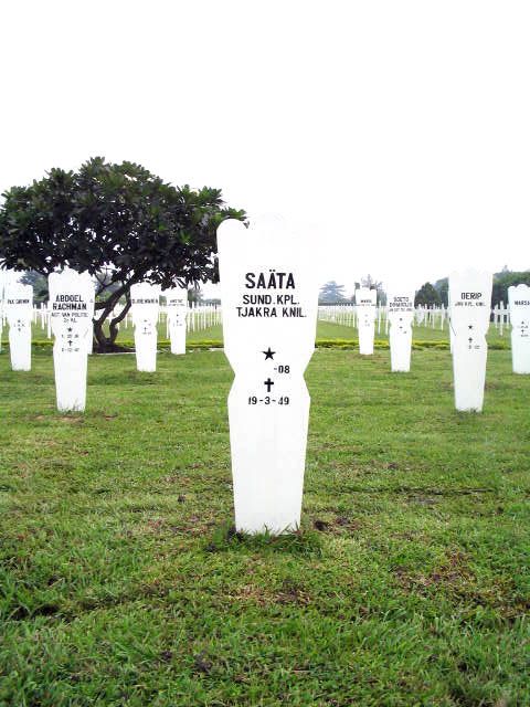 saata.2005.jpg