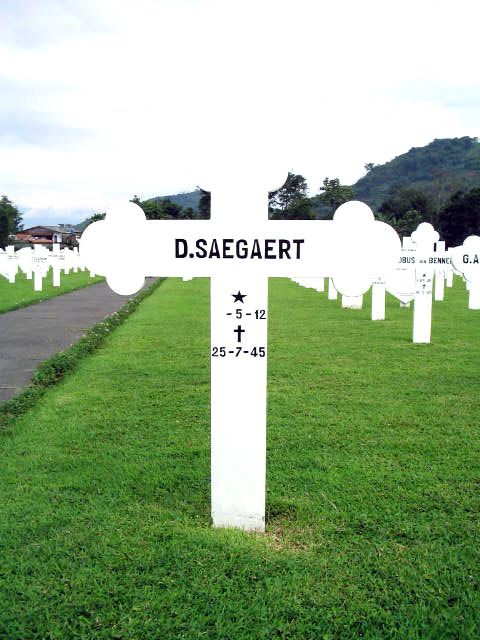 saegaert.d.2005.jpg
