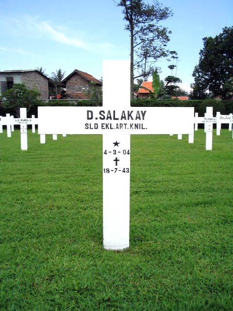 salakay.d.2005.jpg