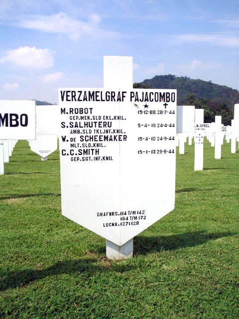 salhuteru.s.2005.jpg