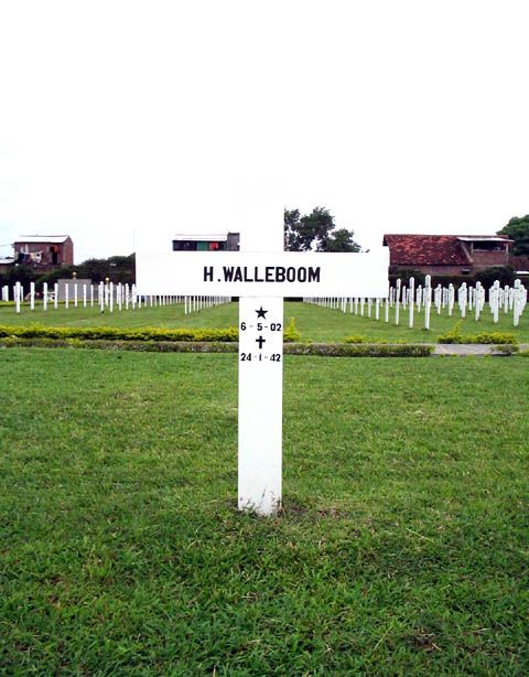 walleboom.h.2005.jpg