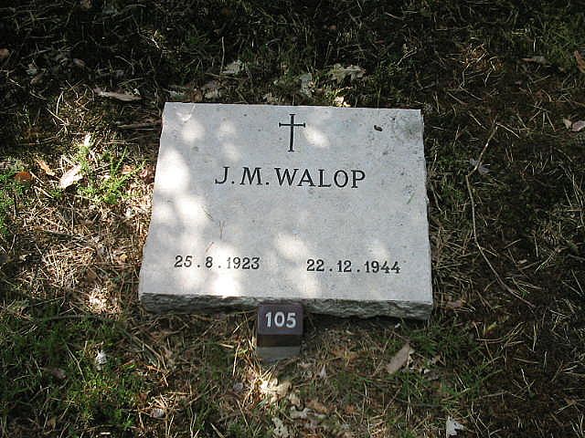 167145.JPG