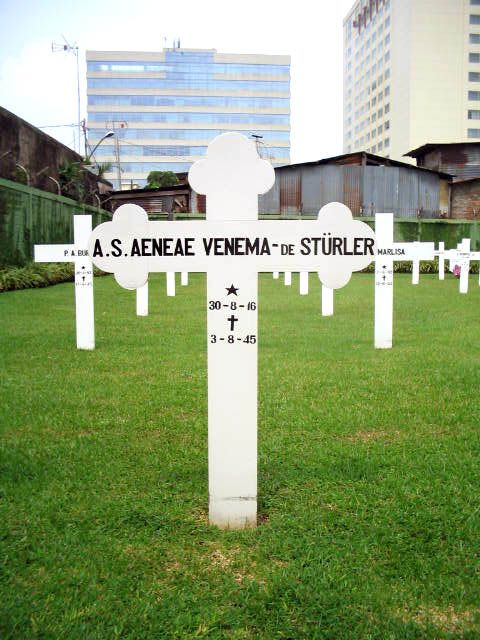 aeneae venema.sturler.de.a.s.2005.jpg
