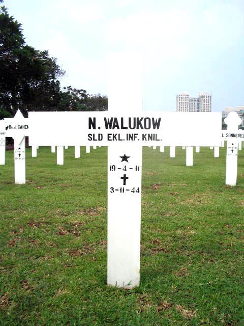 walukow.n.2005.jpg