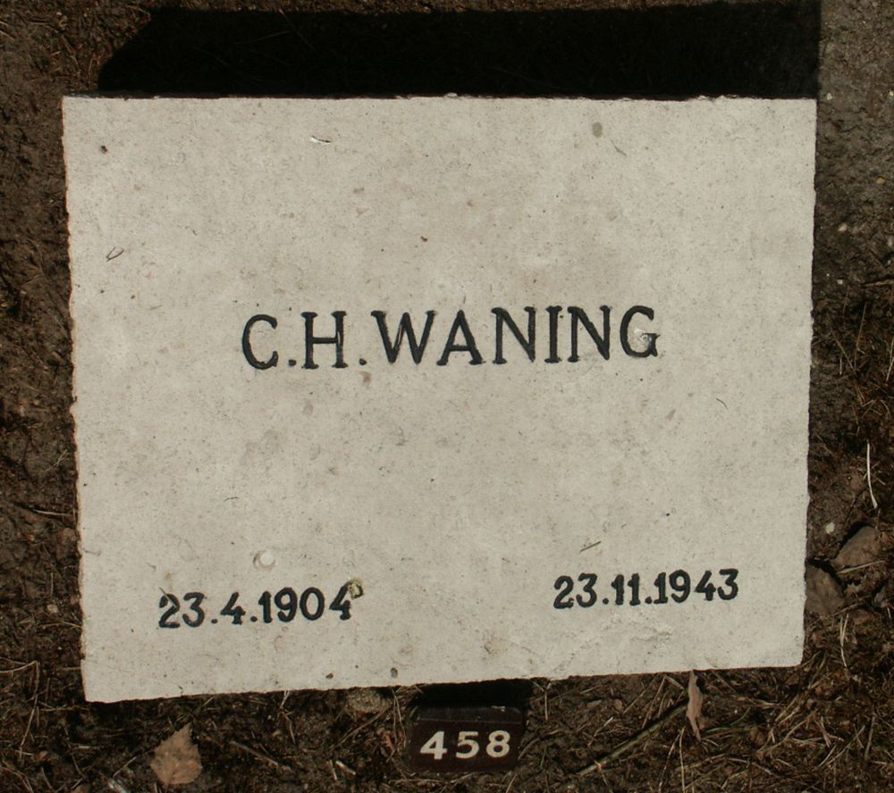waning.c.h.2006.jpg