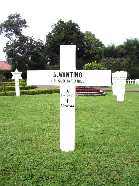 wanting.a.2005.jpg