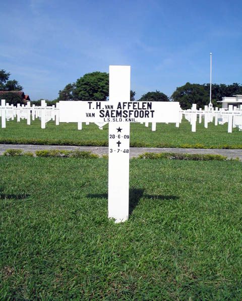 affelen.van saemsfoort.van.t.h.2005.jpg