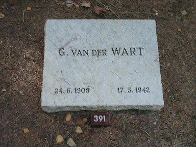 167662.jpg