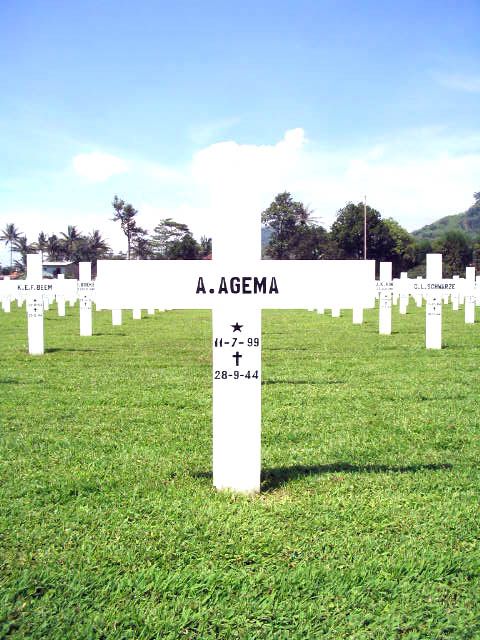 agema.a.2005.jpg
