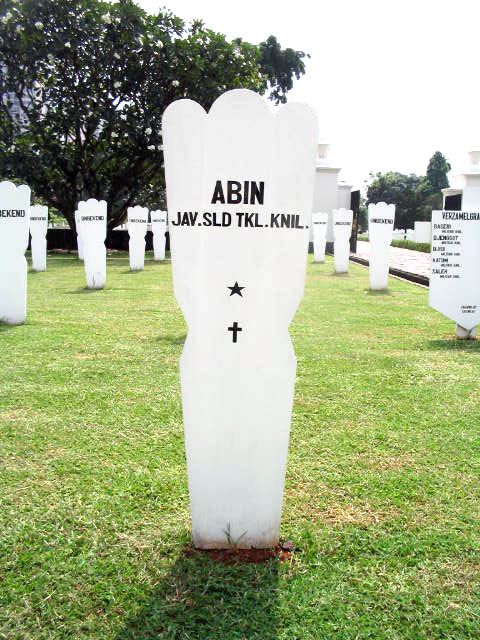 abin.2005.jpg